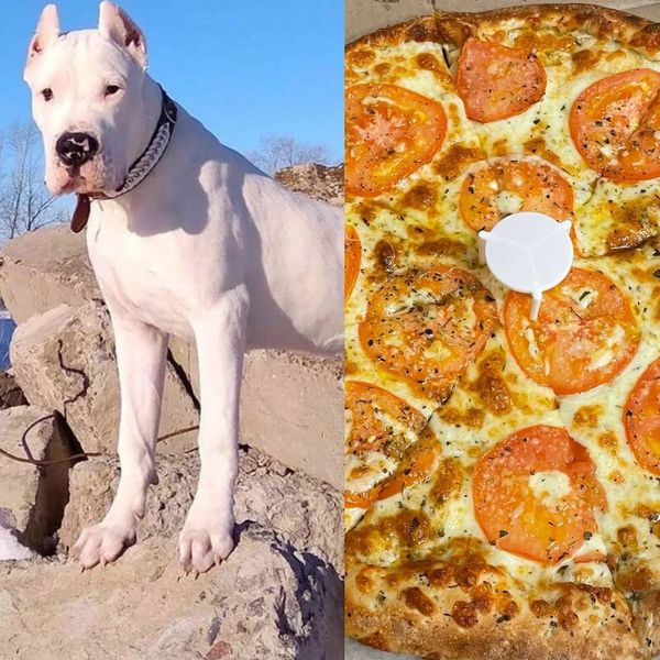 Big Dog Pizza, LLC.